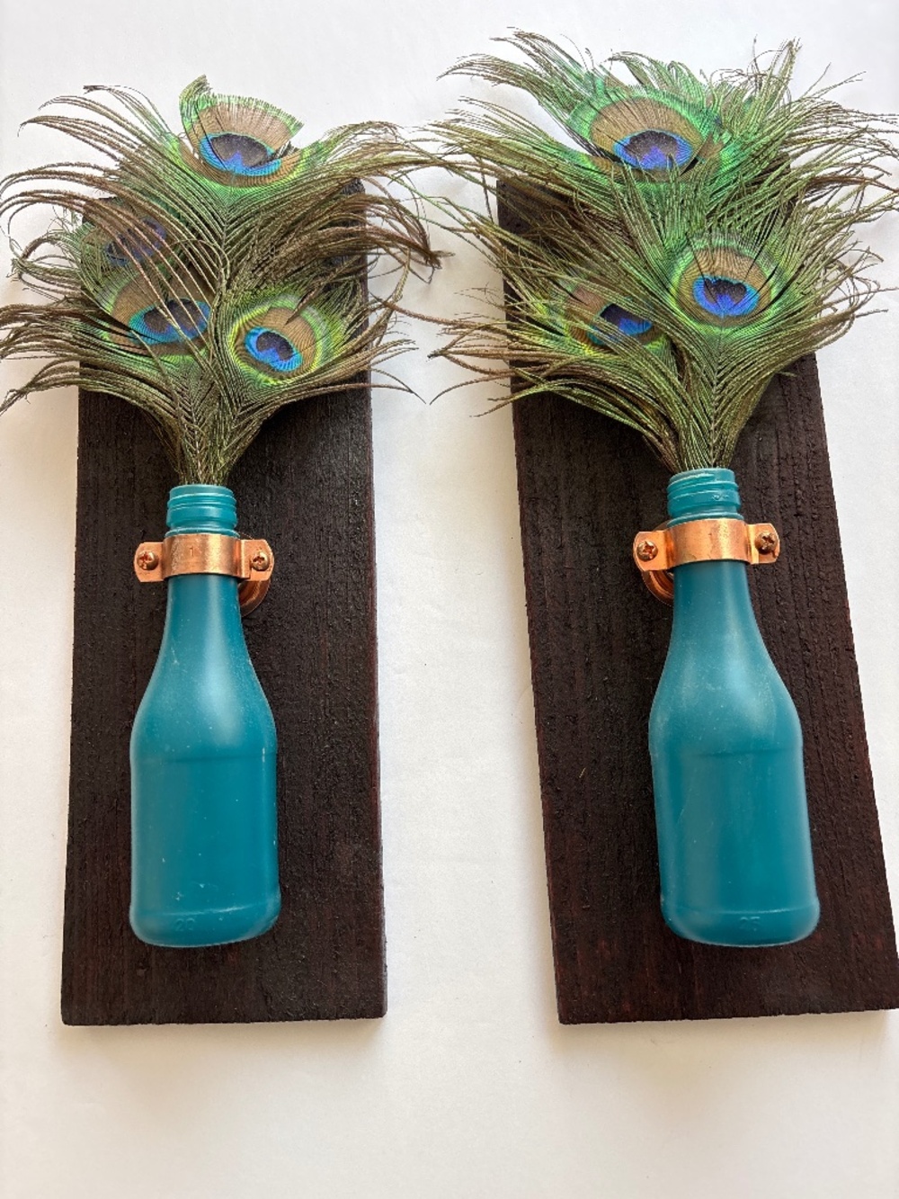 Set of 2 wall plaques w/peacock feathers in turquoise bottles.